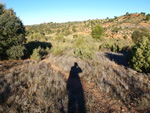 Grupo Mineralógico de Alicante.Los Barrancos. Camporrobles. Valencia  