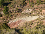 Grupo Mineralógico de Alicante.Los Barrancos. Camporrobles. Valencia  