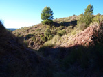Grupo Mineralógico de Alicante.Los Barrancos. Camporrobles. Valencia  