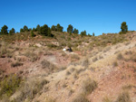 Grupo Mineralógico de Alicante.Los Barrancos. Camporrobles. Valencia  