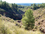 Grupo Mineralógico de Alicante.Los Barrancos. Camporrobles. Valencia  