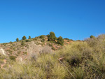 Grupo Mineralógico de Alicante.Los Barrancos. Camporrobles. Valencia  