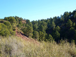 Grupo Mineralógico de Alicante.Los Serranos. Hondón de los Frailes. Alicante 