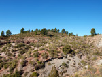 Grupo Mineralógico de Alicante.Los Barrancos. Camporrobles. Valencia 