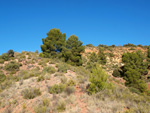 Grupo Mineralógico de Alicante.Los Barrancos. Camporrobles. Valencia 