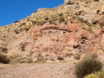 Grupo Mineralógico de A0licante.  Los Vives. Orihuela. Alicante  
