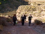 Grupo Mineralógico de Alicante.Los Vives. Orihuela. Alicante