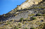 Grupo Mineralógico de Alicante.Los Vives. Orihuela. Alicante