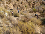 Grupo Mineralógico de Alicante.  Los Vives. Orihuela. Alicante  