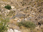 Grupo Mineralógico de Alicante.  Los Vives. Orihuela. Alicante  