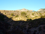 Grupo Mineralógico de Alicante. Explotaciones de arcilla. Inmediaciones Bancal Fondó, Barranc Font del lobo.Tibi , Alicante