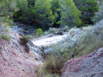 Grupo Mineralógico de Alicante. Explotaciones de arcilla. Inmediaciones Bancal Fondó, Barranc Font del lobo.Tibi , Alicante