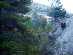 Grupo Mineralógico de Alicante. Explotaciones de arcilla. Inmediaciones Bancal Fondó, Barranc Font del lobo.Tibi , Alicante