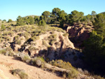 Grupo Mineralógico de Alicante. Explotaciones de arcilla. Inmediaciones Bancal Fondó, Barranc Font del lobo.Tibi , Alicante