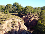 Grupo Mineralógico de Alicante.Los Serranos. Hondón de los Frailes. Alicante 