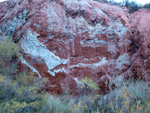 Grupo Mineralógico de Alicante. Explotaciones de arcilla. Inmediaciones Bancal Fondó, Barranc Font del lobo.Tibi , Alicante