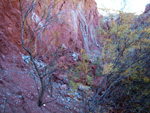 Grupo Mineralógico de Alicante. Explotaciones de arcilla. Inmediaciones Bancal Fondó, Barranc Font del lobo.Tibi , Alicante