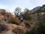 Grupo Mineralógico de Alicante. Explotación de Ofitas. Sierra de Olta. Calpe. Alicante Alicante