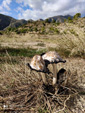 Grupo Mineralógico de Alicante. Explotación de Ofitas. Sierra de Olta. Calpe. Alicante Alicante