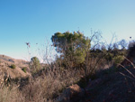 Grupo Mineralógico de Alicante. Trias de Chella. Valencia.  