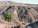 Grupo Mineralógico de Alicante. Trias de Chella. Valencia.  