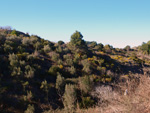 Grupo Mineralógico de Alicante. Trias de Chella. Valencia.  