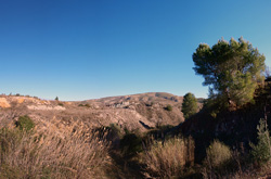 Grupo Mineralógico de Alicante. Trias de Chella. Valencia.  