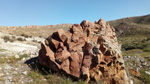 Grupo Mineralógico de Alicante. El Hoyazo. Nijar. Almería   
