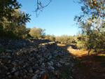 Grupo Mineralógico de Alicante. Explotación de Áridos. Enguera. Comarca Canal de Navarres. Valencia   