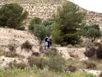 Grupo Mineralógico de Alicante. Afloramiento de Marcasitasa en el Alcavo. Agost. Alicante  