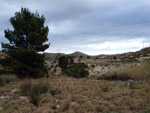 Grupo Mineralógico de Alicante. Afloramiento de Marcasitasa en el Alcavo. Agost. Alicante  