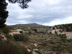 Grupo Mineralógico de Alicante. Calcita. Afloramiento de Marcasitasa en el Alcavo. Agost. Alicante  