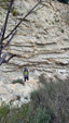 Grupo Mineralógico de Alicante.Afloramiento de Marcasitasa en el Alcavo. Agost. Alicante 