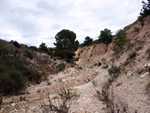Grupo Mineralógico de Alicante.Afloramiento de Marcasitasa en el Alcavo. Agost. Alicante 