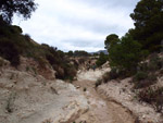 Grupo Mineralógico de Alicante. Afloramiento de Marcasitasa en el Alcavo. Agost. Alicante 
