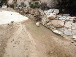 Grupo Mineralógico de Alicante. Afloramiento de Marcasitasa en el Alcavo. Agost. Alicante 