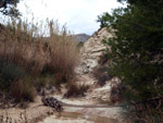Grupo Mineralógico de Alicante. Afloramiento de Marcasitasa en el Alcavo. Agost. Alicante 