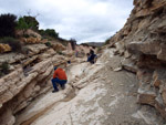 Grupo Mineralógico de Alicante.  Ópalo con Dendritas.Afloramiento de Marcasitasa en el Alcavo. Agost. Alicante 