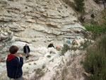 Grupo Mineralógico de Alicante. Afloramiento de Marcasitasa en el Alcavo. Agost. Alicante  