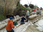 Grupo Mineralógico de Alicante. Afloramiento de Marcasitasa en el Alcavo. Agost. Alicante  