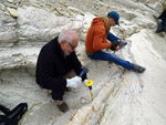 Grupo Mineralógico de Alicante. Afloramiento de Marcasitasa en el Alcavo. Agost. Alicante    