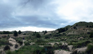 Grupo Mineralógico de Alicante. Afloramiento de Marcasitasa en el Alcavo. Agost. Alicante  