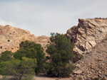 Grupo Mineralógico de Alicante. Antigua explotación de áridos. Serreta Negra. Moralet. Alicante  