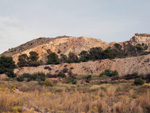 Grupo Mineralógico de Alicante. Antigua explotación de áridos. Serreta Negra. Moralet. Alicante  