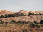 Grupo Mineralógico de Alicante. Antigua explotación de áridos. Serreta Negra. Moralet. Alicante  