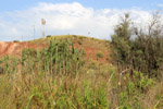 Grupo Mineralógico de Alicante. Antigua explotación de Arcilla. Zona Serratella Moralet. Alicante

  