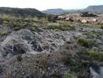 Grupo Mineralógico de Alicante. Els Terrers. Agost. Alicante  