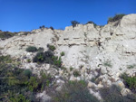Grupo Mineralógico de Alicante. Els Terrers. Agost. Alicante  