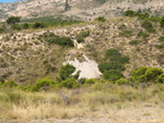 Grupo Mineralógico de Alicante. Alrededores del Rincón Bello en Agost. Alicante   