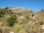 Grupo Mineralógico de Alicante. Alrededores del Rincón Bello en Agost. Alicante   